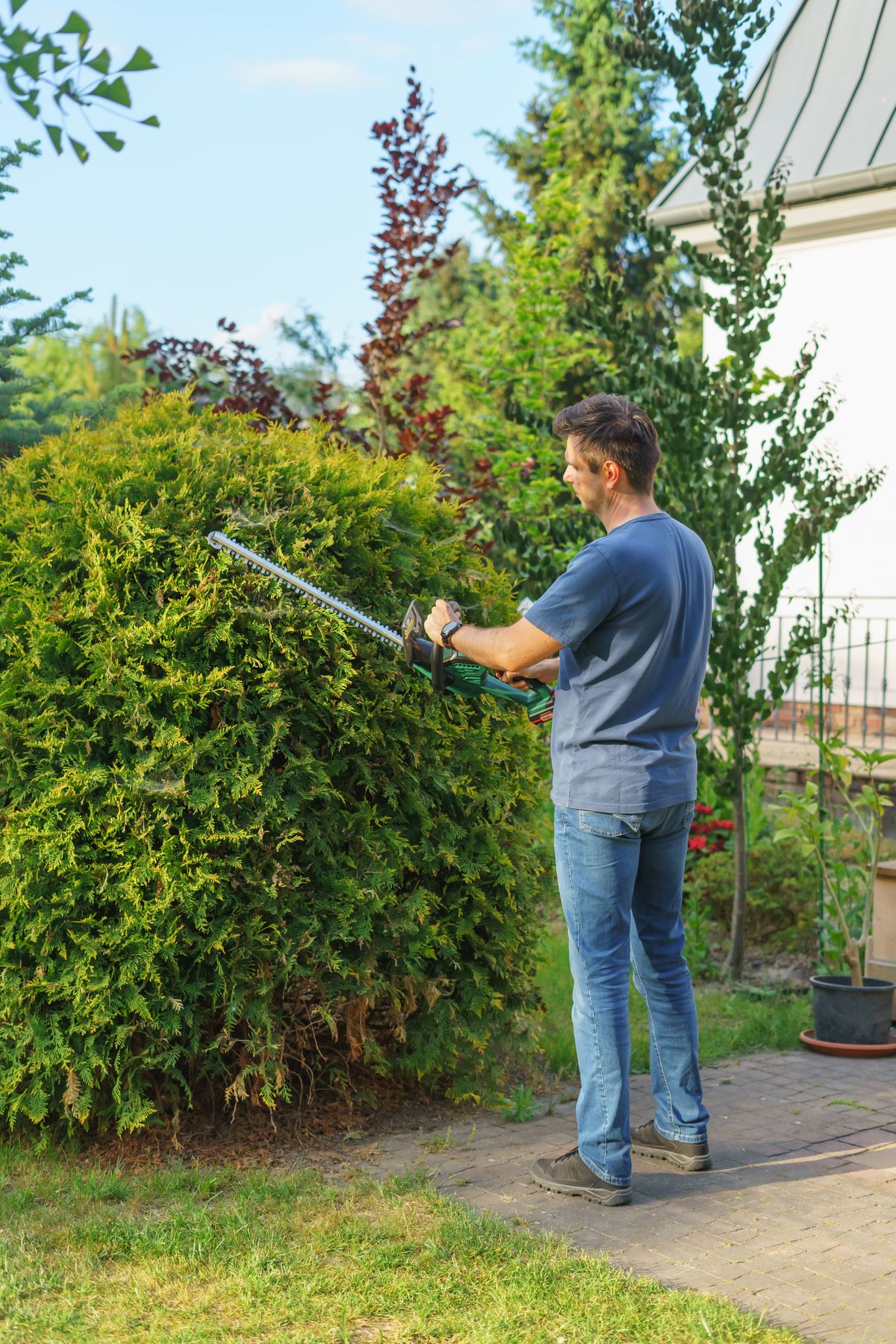 Mantenimiento de jardines
